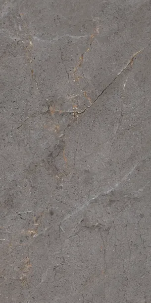 Фото Керамогранит Protiles PT12P7057 Verona Pol 1200х600х9 Узбекистан