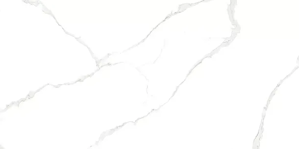Фото Плитка WT9ELT00 Elemento Bianco Carrara 250*500*9 Россия