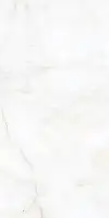 Фото Керамогранит Alpas Nikita White Pol 60x120