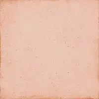 Фото Керамогранит Equipe 24388 Art Nouveau Coral Pink 20x20