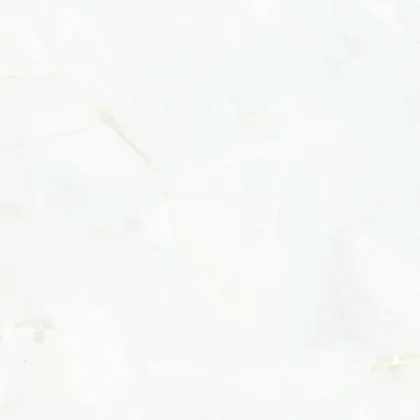 Фото Керамогранит Eternal ETONX1224MT6060 Onix Pearl Matt 60x60 Индия