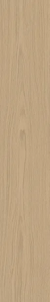 Фото Керамогранит Caesar AILG Pure Sheer Matt RT R10 9mm 20x120 Италия