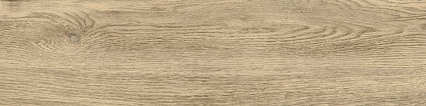 Фото Керамогранит Tanzania Beige матовый 151x602 (GP1560TAN11) Россия