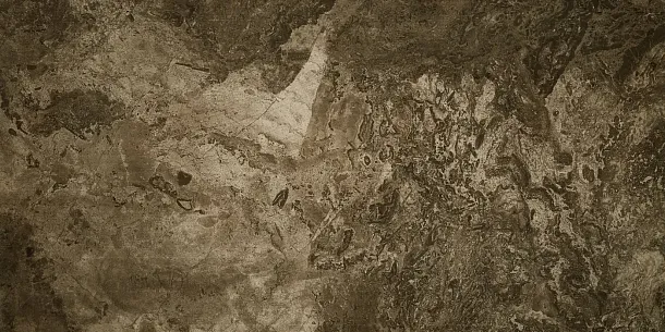Фото Керамогранит Seranit Fossil Brown Full Lappato 60х120 Турция