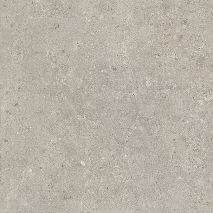 Фото Керамогранит SG653720R Риккарди серый светлый матовый обрезной 60x60 Россия