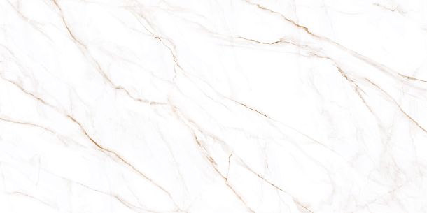 Керамогранит Neo Calacatta матовый 600x1200x8,5 (GFU60120NCL04R) для гостиной, для кухни, для ванной, для туалета, для спальни, для прихожей, на теплый пол Фото Керамогранит Neo Calacatta матовый 600x1200x8,5 (GFU60120NCL04R) Россия
