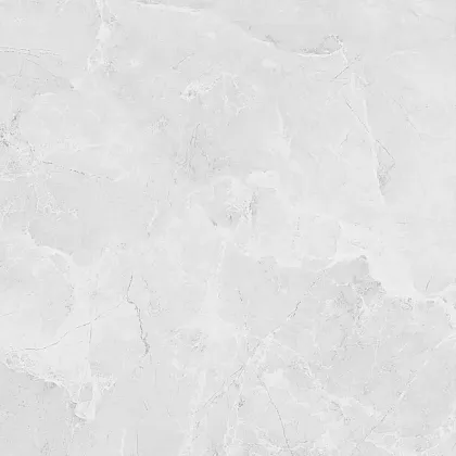Фото Керамогранит Laparet LP6060G0241R Berna Silver светло-серый матовый 59,5х59,5 Россия