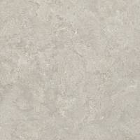 Фото Керамогранит RC Shell LB 60х60 (8160)