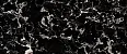 Керамогранит Ennface ENMAR7005FL120280 Portoro Black Full Lappato 1200x2800x6