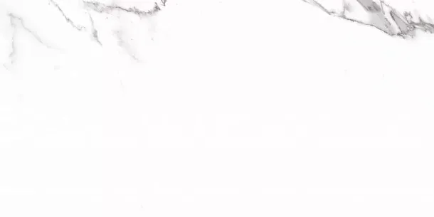 Фото Керамогранит Carrara Rect матовая 60x120 Узбекистан