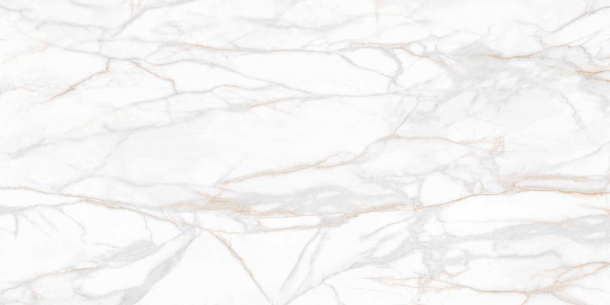 Фото Керамогранит SM01 Platinum неполированный 80x160x10 Россия