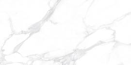 Фото Керамогранит Dallas Silver полированный 600x1200 (60120DLL15P)