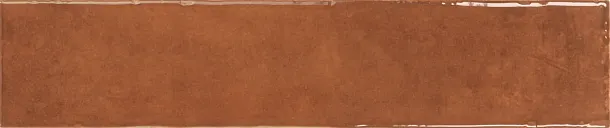 Фото керамическая плитка Monopole 002700 San Remo Amber 5x25 Испания