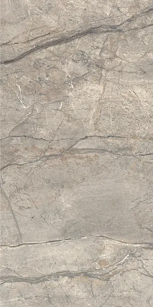 Фото Керамогранит Caesar AIAV Amazing Silver Liscio Matt 60x120 Италия