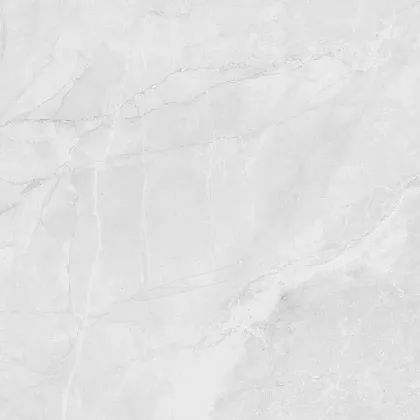 Фото Керамогранит Laparet LP6060G0241R Berna Silver светло-серый матовый 59,5х59,5 Россия