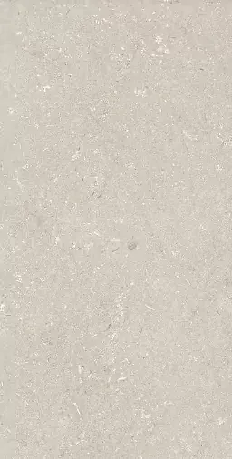 Фото Керамогранит Dado Ceramica 005486 Shellstone Beige 60x120 Италия