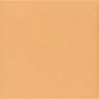 Фото Керамогранит Mainzu Technical Tangerine 20х20
