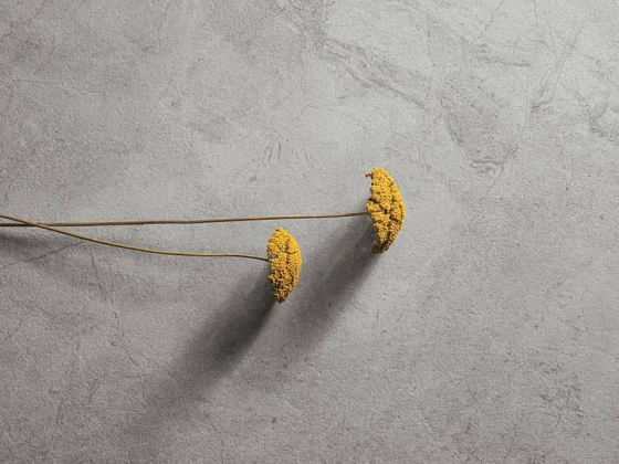 Фото Керамогранит OI30 River White Soft 60x120 Италия