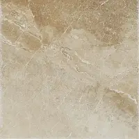 Фото Керамогранит ProGRES Ceramica GNR0069-G Магма Коричневый светлый граниль 600x600x9.5