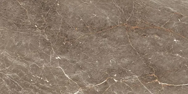 Фото Керамогранит Istanbul Sepia Glossy 60x120 Индия