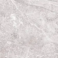 Фото Керамогранит ProGRES Ceramica GNR0132-G Магма Серый светлый граниль 600x600x9.5