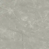 Фото Керамогранит Wolf Grey Сатинированный 80х80