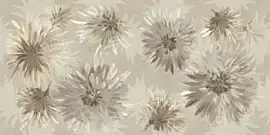 Фото Декор Imola Ceramica BLOOM6 12 RM 60x120