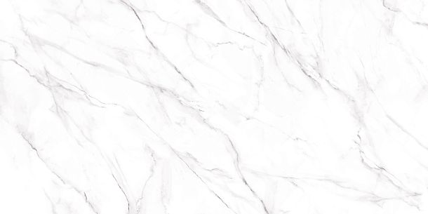 Фото Керамогранит Neo Calacatta матовый 600x1200x8,5 (GFU60120NCL07R) Россия