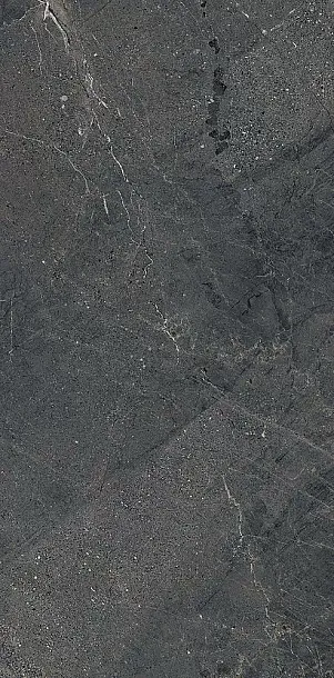 Фото Керамогранит Lea Ceramiche LGXAL55 Anthology 05 Dark Nat. RT 9.5mm 60x120 Италия