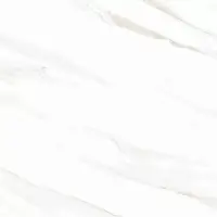 Фото Керамогранит Calacatta Clarity Gold Белый Полированный 60x60 (х9999304590)