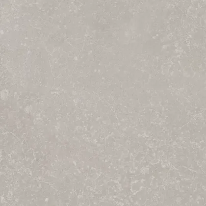 Фото Керамогранит Kerama Marazzi Касабланка серый светлый матовый 20x20x0,8 (KM2020G0011N) Россия
