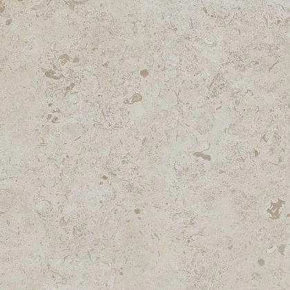 Фото Керамогранит DD641120R Про Лаймстоун бежевый темный натуральный обрезной 60х60 Россия