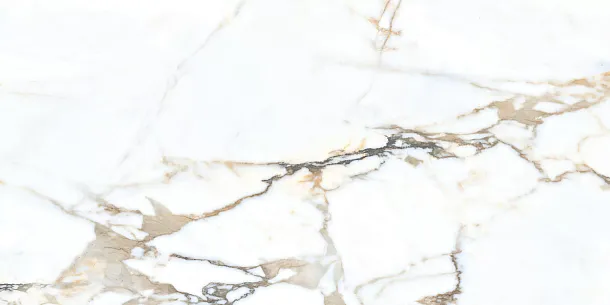 Фото Керамогранит Camela Statuario 60x120 (NTT99605M) Индия