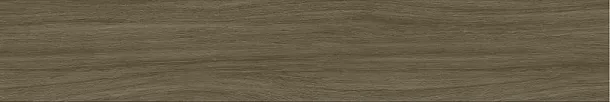 Фото Керамогранит Oak Коричневый Матовый Структурный 20x120 (BHD-2006) Китай