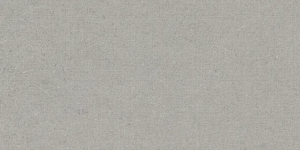Фото Декор Tau Ceramica DC. Calcare Silver 60x120 Испания