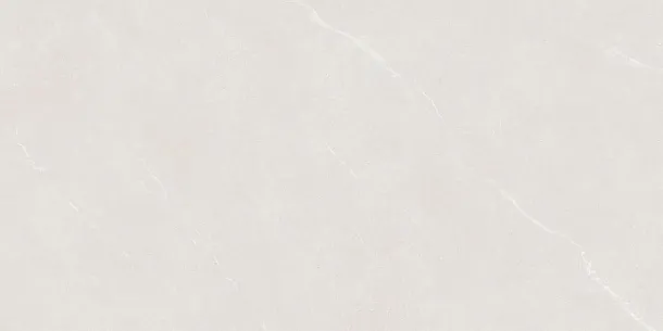 Фото Керамогранит Protiles PT12F7046 Alicante Light Grey Matt 600х1200 Узбекистан