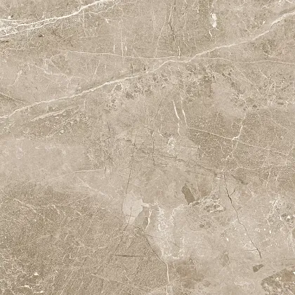 Фото Керамогранит Obsidian Taupe Матовый 60x60 Индия