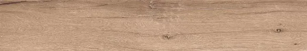 Керамогранит Forest Nature Decaff Matt 20x120 (F4501M) для гостиной, для кухни, для ванной, для туалета, для спальни, для прихожей, на теплый пол Фото Керамогранит Forest Nature Decaff Matt 20x120 (F4501M) Китай