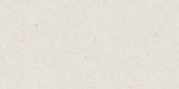 Фото Керамогранит Tau Ceramica Calcare White 60x120 Испания