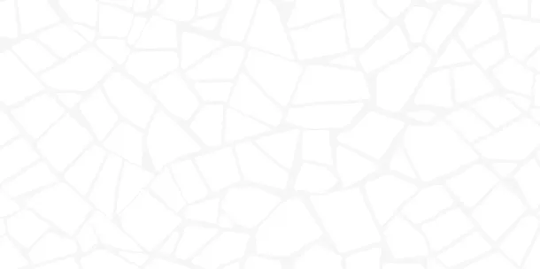 Фото Плитка WT9SML00 Smalta White 249x500 Россия