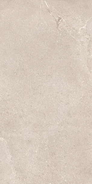 Фото Керамогранит Dado Ceramica DNWS201 New Stone Daino 60x120 Италия