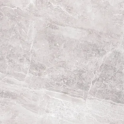 Фото Керамогранит ProGRES Ceramica GNR0132-G Магма Серый светлый граниль 600x600x9.5 Россия