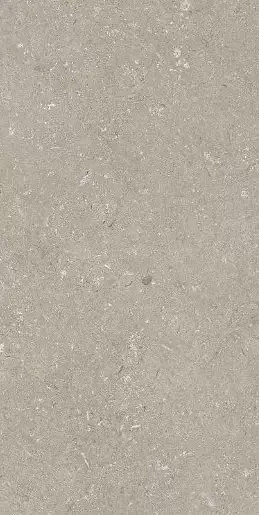 Фото Керамогранит Dado Ceramica 005468 Shellstone Taupe 60x120 Италия