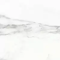 Фото Керамогранит 6246-0036 (6046-0168) Бьянка Каррара белый 45х45