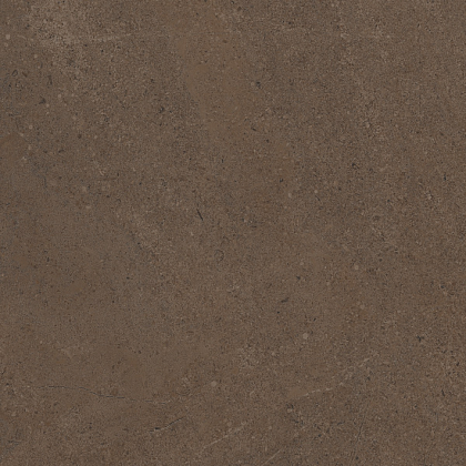 Фото Керамогранит GO03 Gobi Brown Grey неполированный 60x60 Россия