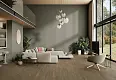 Декор Tau Ceramica DC. Calcare Silver 60x120
