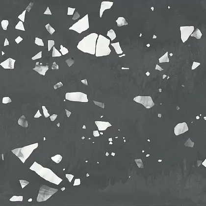 Фото Керамогранит Terratile Nero 60x60 Индия