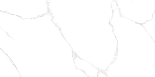 Фото Плитка Elemento Bianco Carrara 250x500x9 (WT9ELT00) Россия