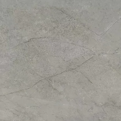 Фото Керамогранит SG172500N Кантата серый светлый матовый 40,2x40,2 Россия