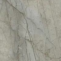 Фото Керамогранит ESSENCE GREY NPLUS 74,5*74,5